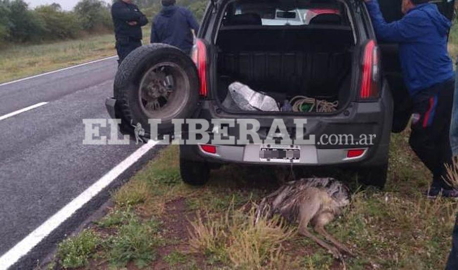 El operativo en contra de los cazadores fue realizado por personal de la Dirección de Bosque y Fauna de la Provincia