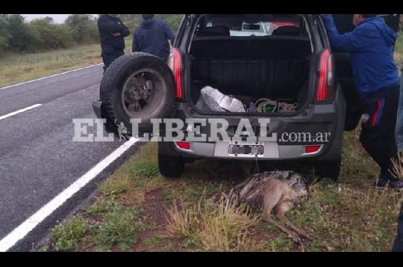 El operativo en contra de los cazadores fue realizado por personal de la Dirección de Bosque y Fauna de la Provincia