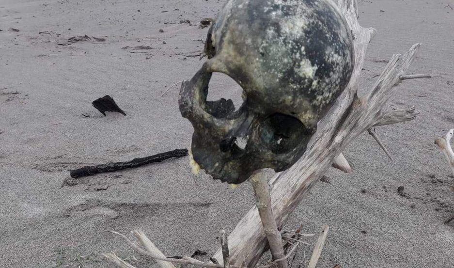 MACABRO La calavera se hallaba enganchada en una rama seca al ser recogida por los peritos
