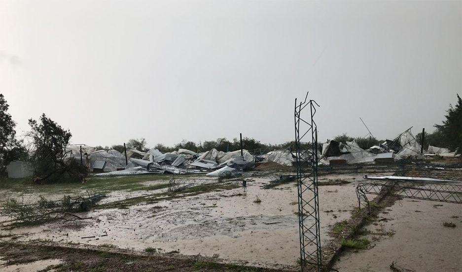 El temporal arrasoacute con Alcaparras Argentinas la cooperativa santiaguentildea que clona aacuterboles en extincioacuten