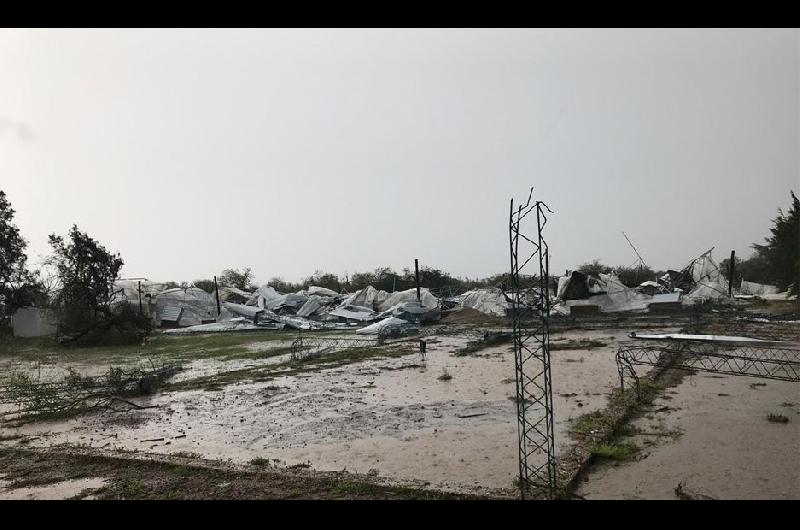 El temporal arrasoacute con Alcaparras Argentinas la cooperativa santiaguentildea que clona aacuterboles en extincioacuten