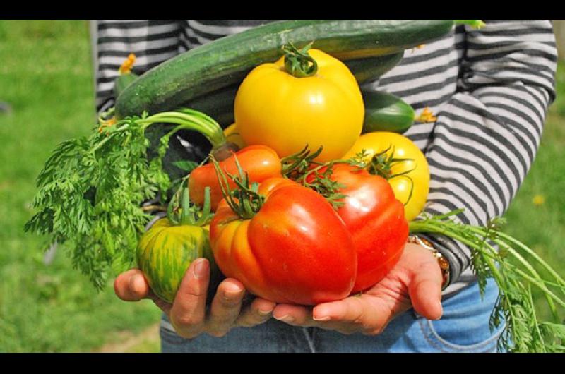 Se debe evitar sobrecargar el trabajo digestivo con alimentos calientes