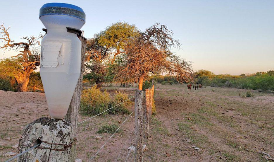 Alivio para productores agropecuarios del oeste por la llegada de lluvias