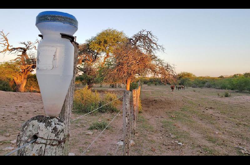 Alivio para productores agropecuarios del oeste por la llegada de lluvias