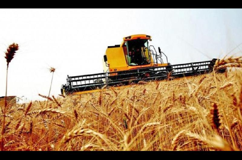 El Estado se quedoacute con el 604-en-porciento- de la renta agriacutecola en diciembre