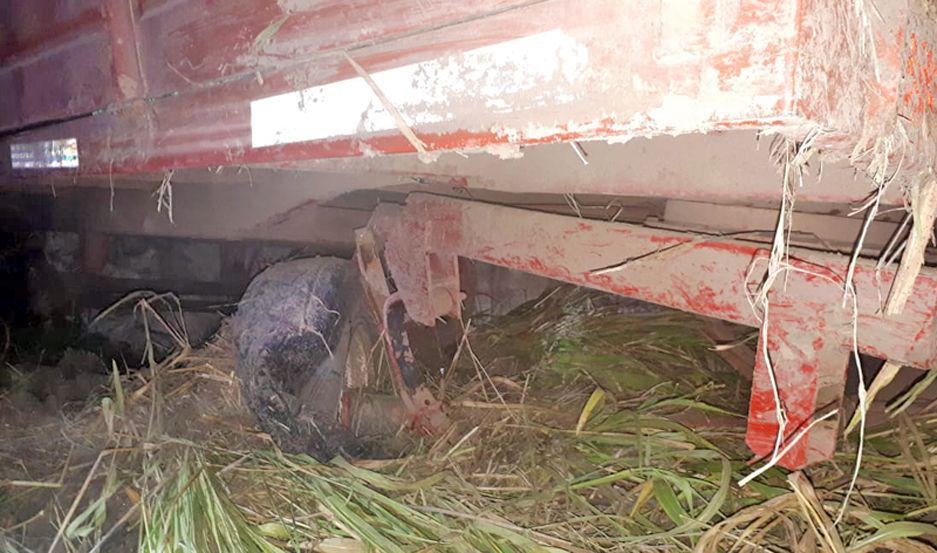 PROCEDIMIENTO También se habrían secuestrado otros objetos llevados desde el campo de Roversi en Moreno
