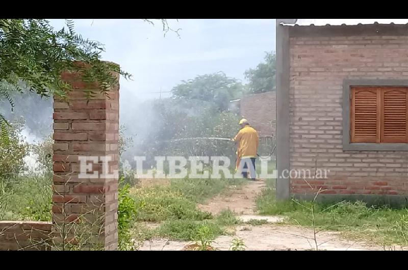 El inmediato arribo de los bomberos evitó la propagación de las llamas