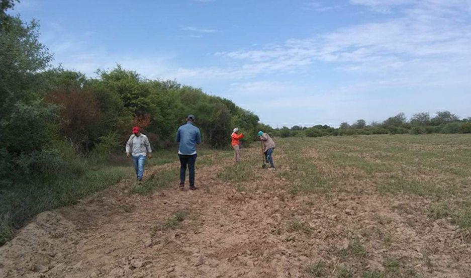 Forestacioacuten en  el Puestito de  San Antonio