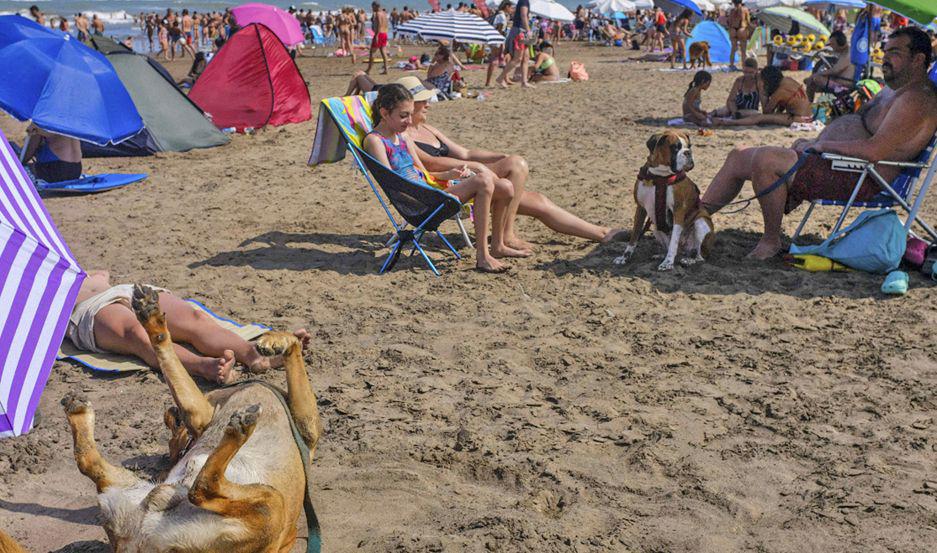 Se llama Yes Playa Canina y est� ubicada sobre la ruta interbalnearia 11 kilómetro 55