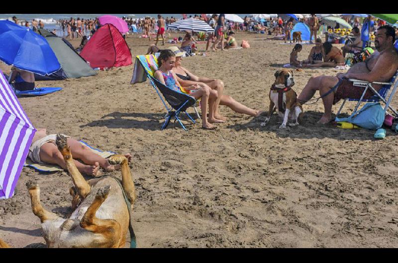 Se llama Yes Playa Canina y est� ubicada sobre la ruta interbalnearia 11 kilómetro 55