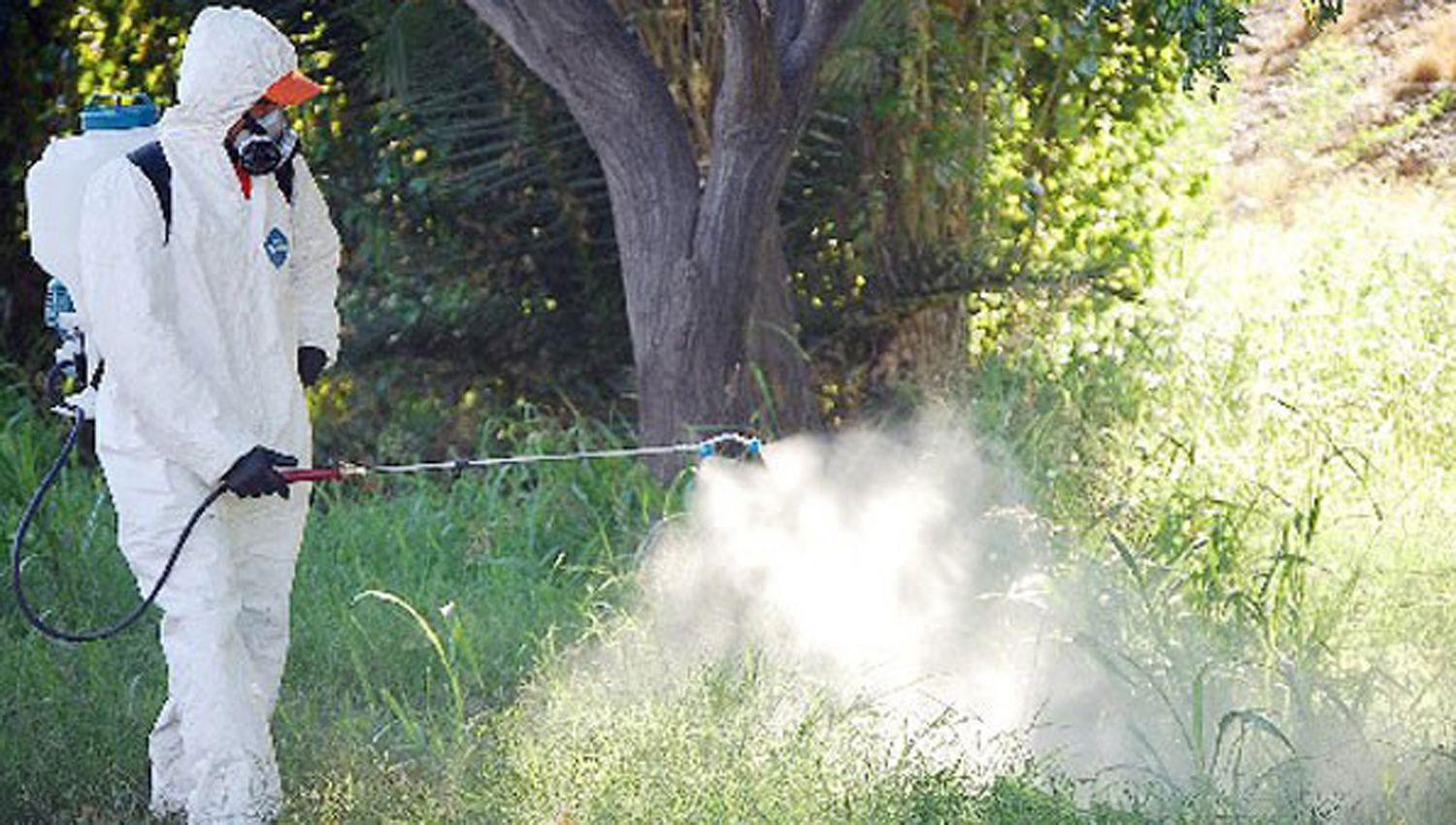 La fumigación no es suficiente para eliminar el mosquito