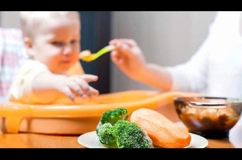 CUIDADO Especialistas aseguran que los niños deben recibir todos los nutrientes para su organismo y muchos de ellos sólo se encuentran en alimentos de origen animal