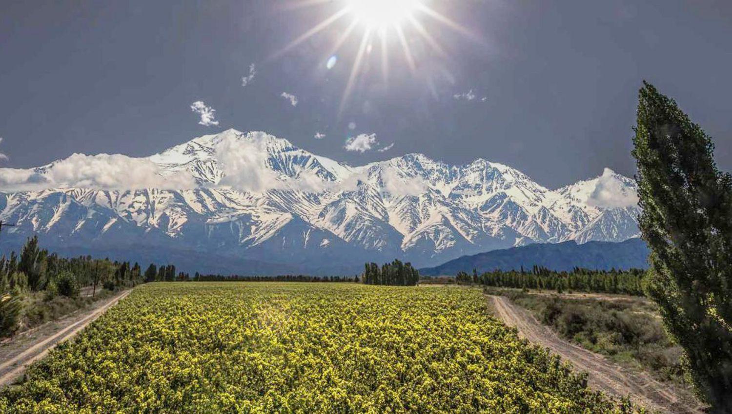 Agrelo- cuaacuteles son las bodegas liacutederes en ese paraiacuteso de Mendoza