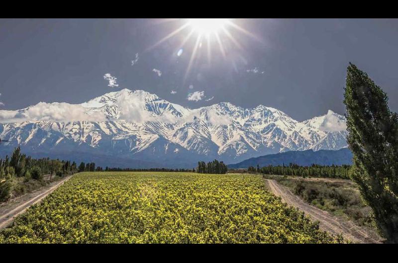 Agrelo- cuaacuteles son las bodegas liacutederes en ese paraiacuteso de Mendoza