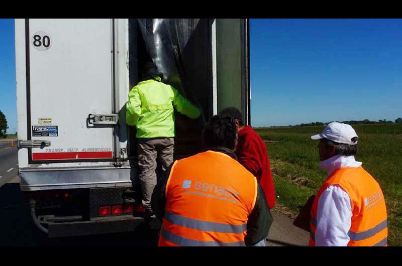 Senasa prorrogoacute hasta el 31 de julio las habilitaciones para facilitar el abastecimiento de alimentos