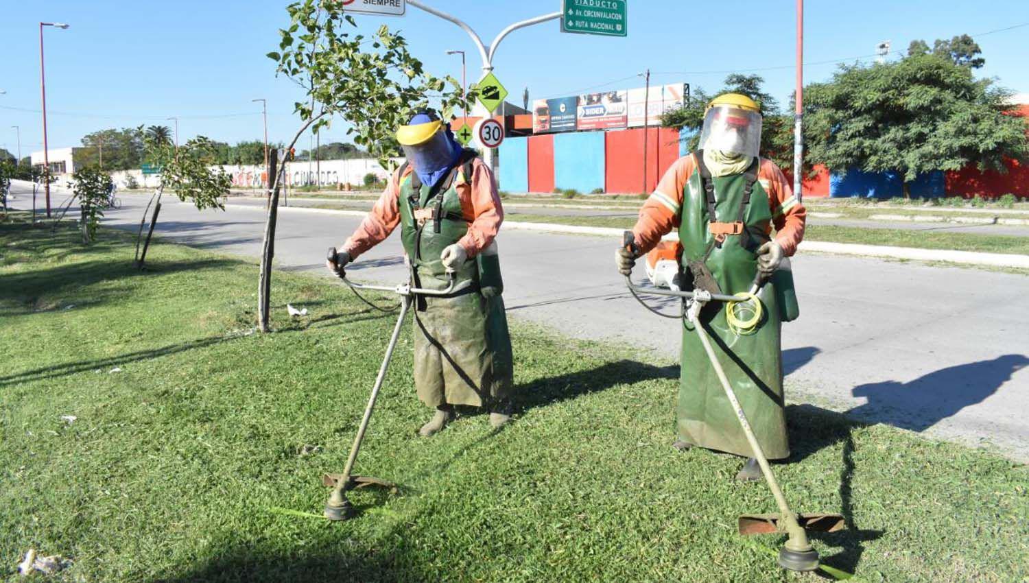 El municipio realizoacute desmalezamiento en las avenidas Lugones y Coloacuten