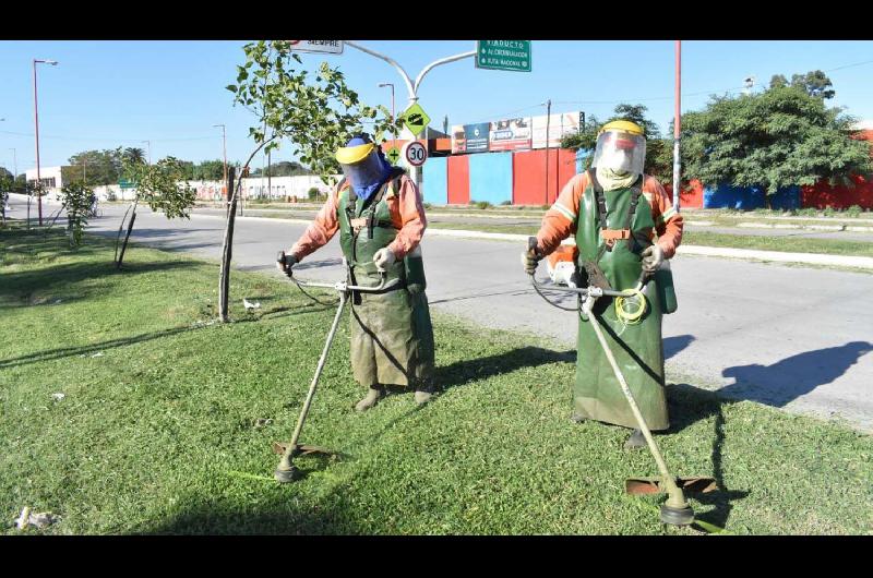 El municipio realizoacute desmalezamiento en las avenidas Lugones y Coloacuten