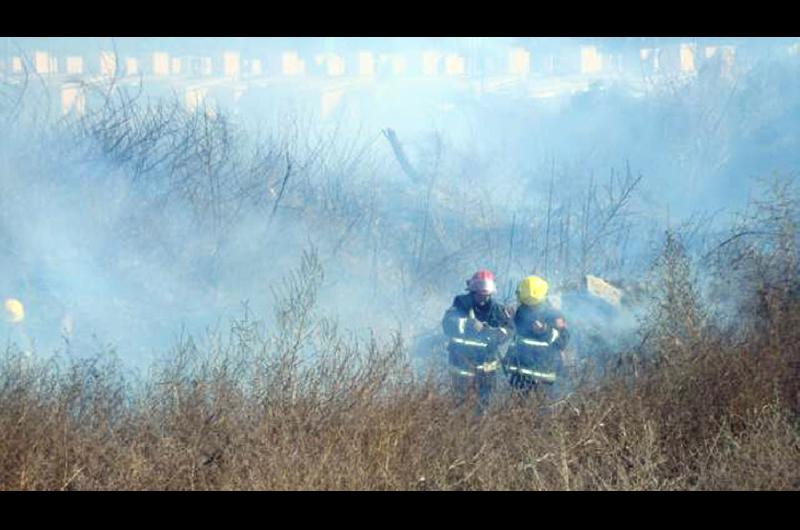 Bomberos Voluntarios solicitan a los vecinos no quemar pastizales