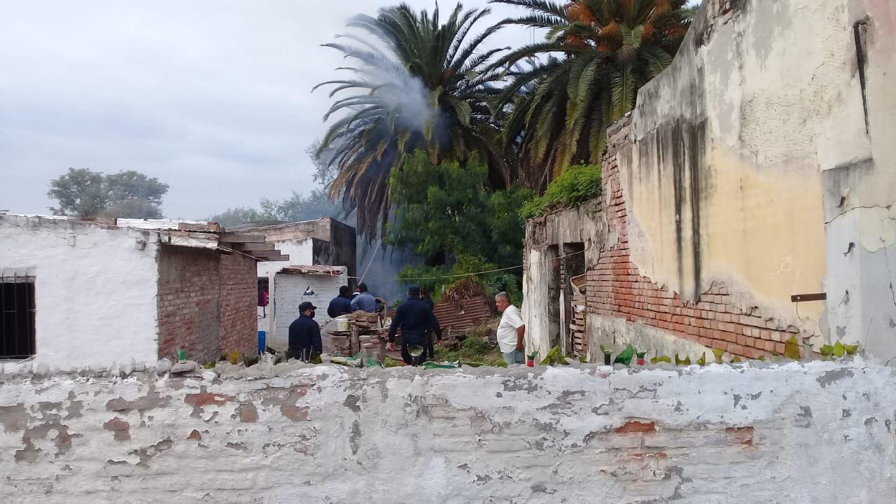 El incendio de palmeras movilizoacute a bomberos y policiacuteas