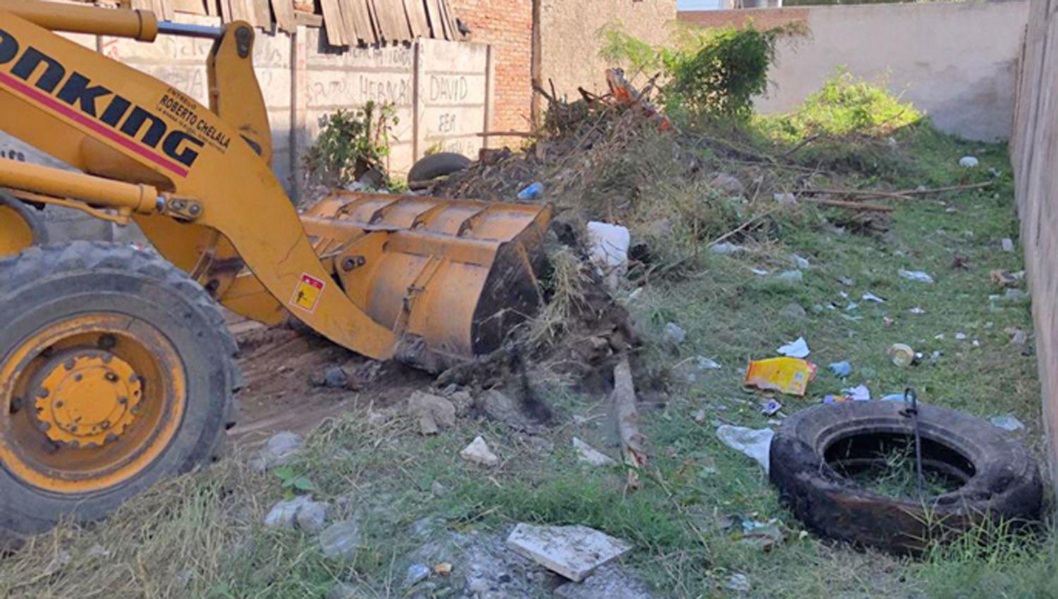 La comuna realizoacute un operativo y eliminoacute foco infeccioso en baldiacuteo del Bdeg Palermo