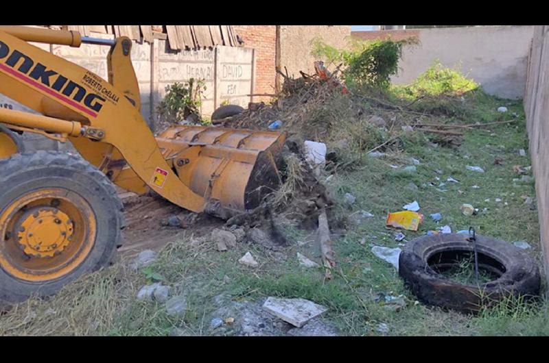 La comuna realizoacute un operativo y eliminoacute foco infeccioso en baldiacuteo del Bdeg Palermo