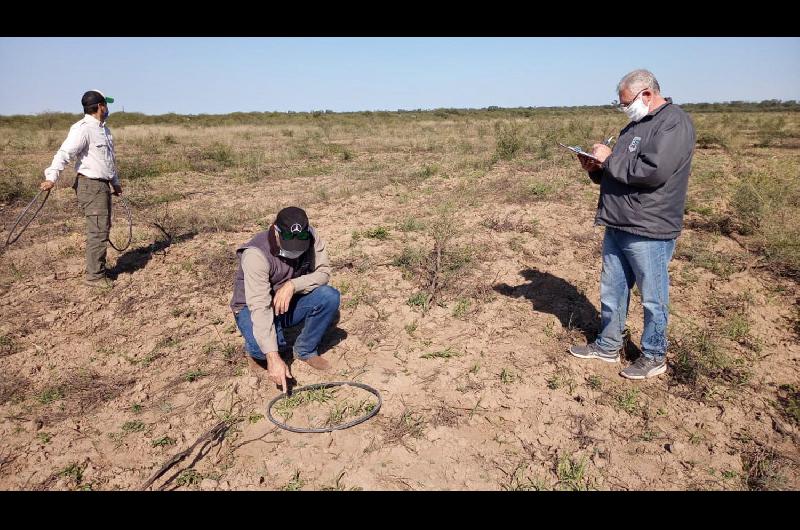 Los ensayos en la zona de Frías son monitoreados para ver su evolución