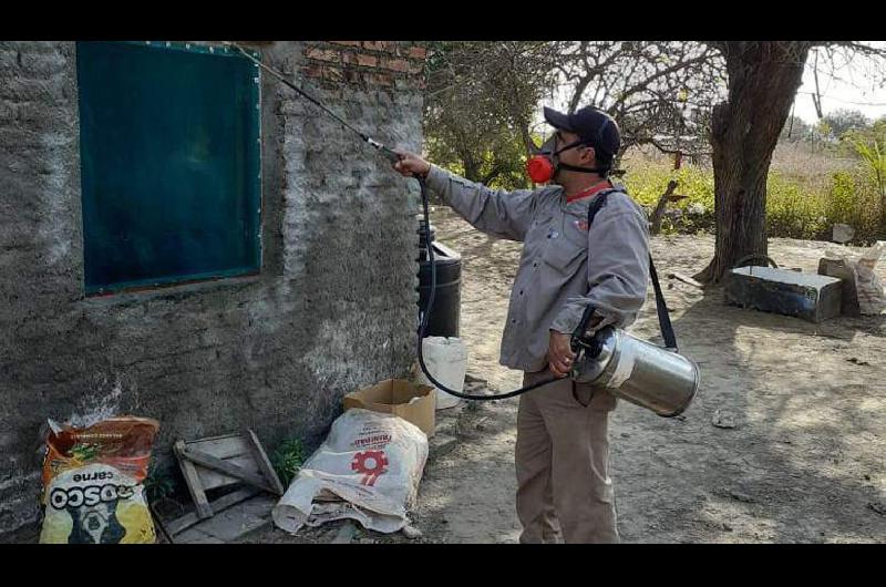 Fuerte campantildea contra el dengue y el Mal de Chagas en Antajeacute