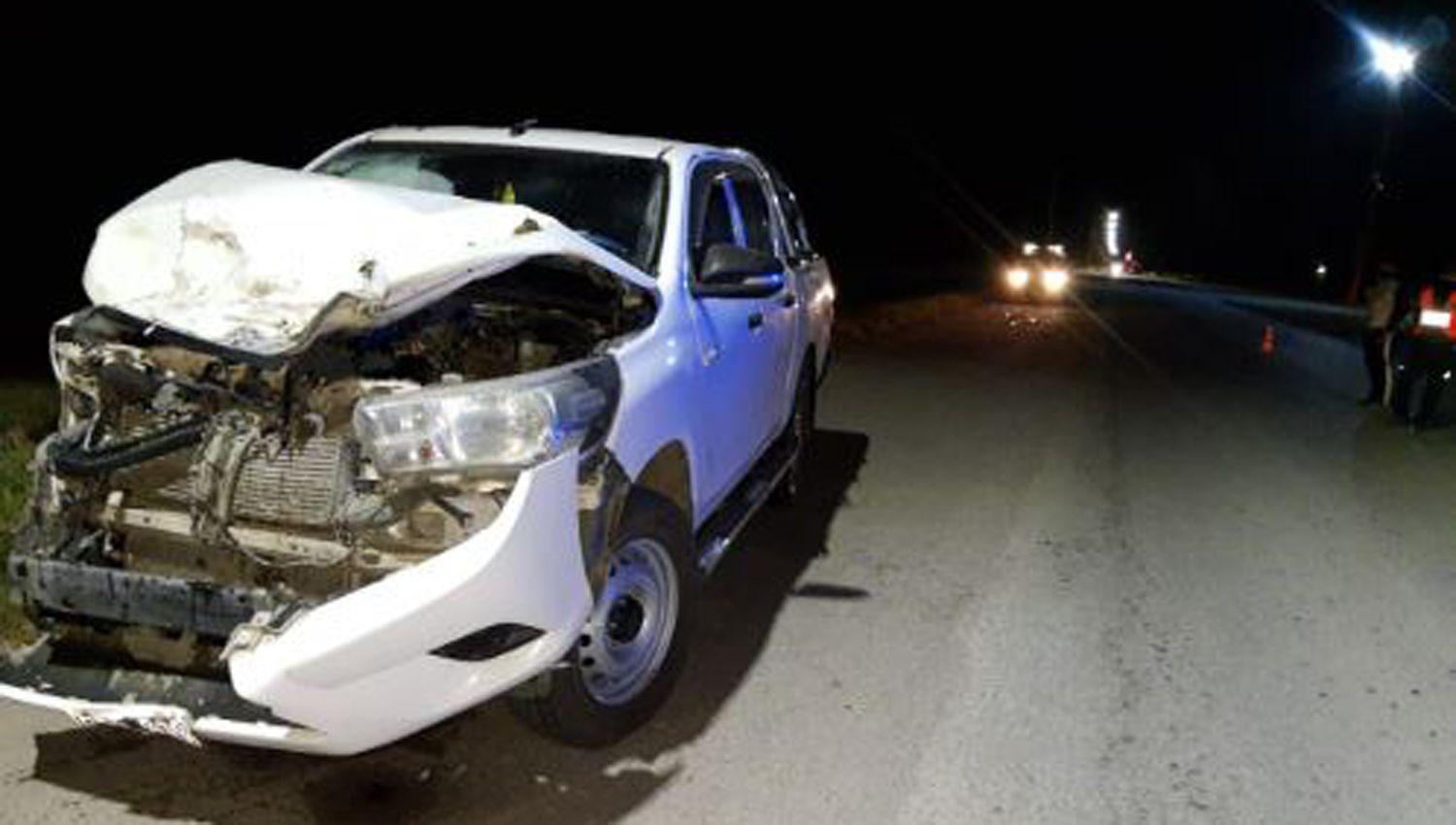 Conductor de camioneta chocoacute con un caballo y resultoacute lesionado