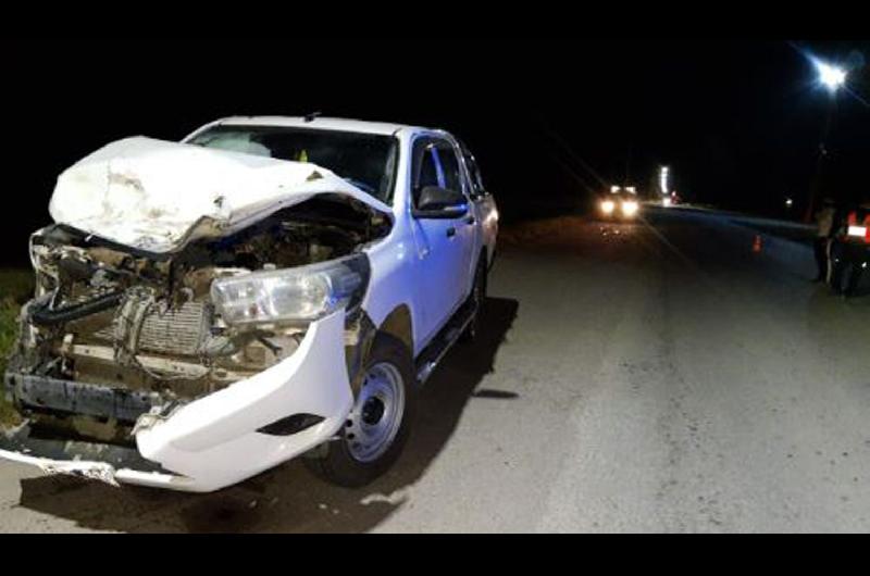 Conductor de camioneta chocoacute con un caballo y resultoacute lesionado