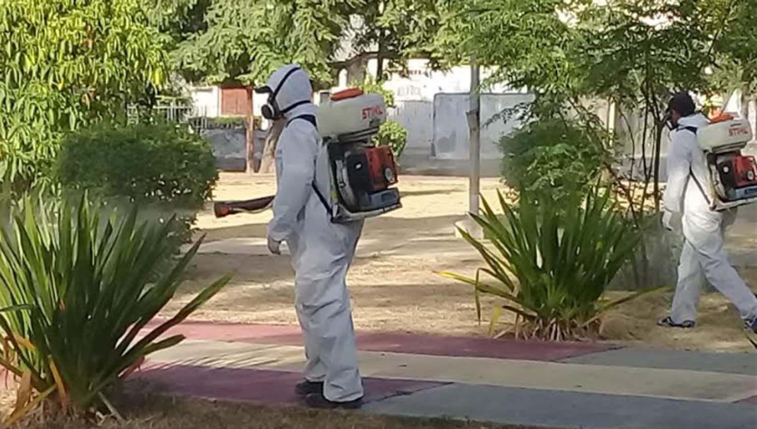 La Capital informoacute coacutemo continuaraacute el plan de fumigaciones para esta semana