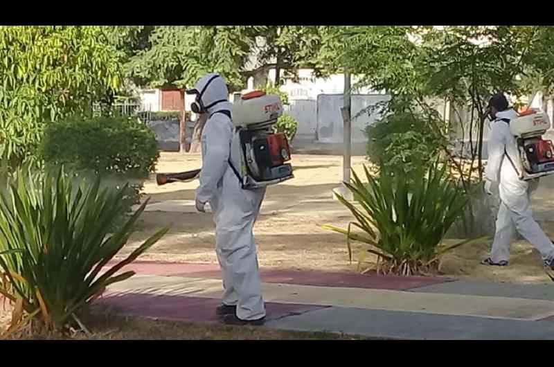 La Capital informoacute coacutemo continuaraacute el plan de fumigaciones para esta semana