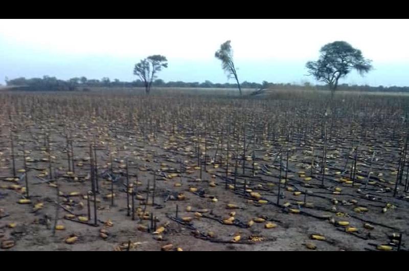 Impactantes videos de incendios en campos del interior