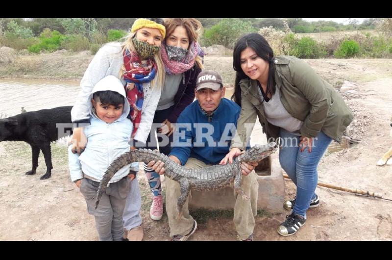 IMAacuteGENES  Sorpresa en Icantildeo- un yacareacute aparecioacute en un canal de riego