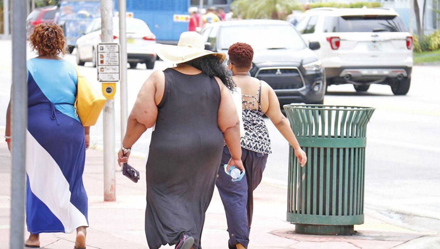 La respuesta inmunológica de las personas con obesidad no est� debidamente regulada