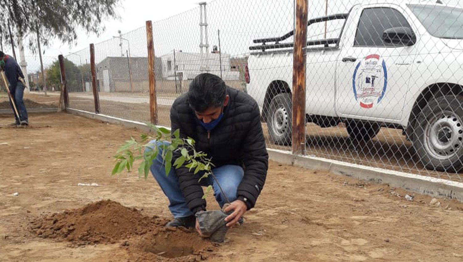 Avanza la obra del vivero forestal en Los Telares