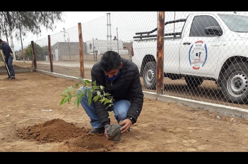 Avanza la obra del vivero forestal en Los Telares