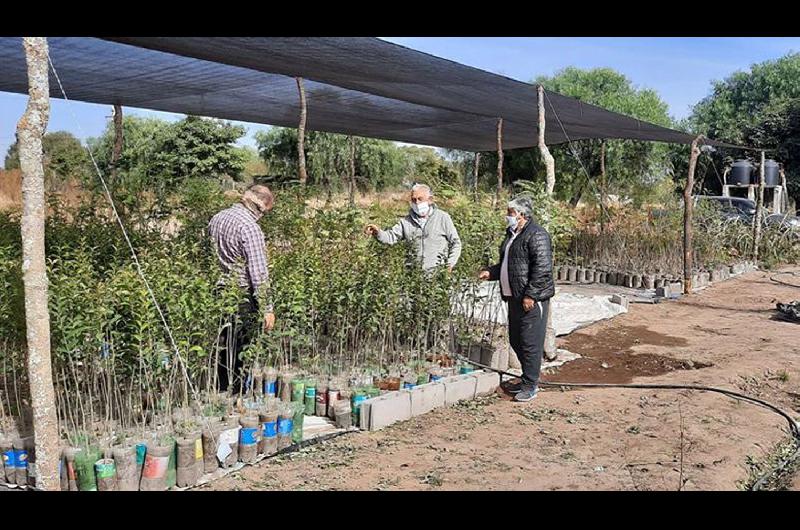 Intercambian mano de obra por plantas entre San Pedro de Santiago y Catamarca