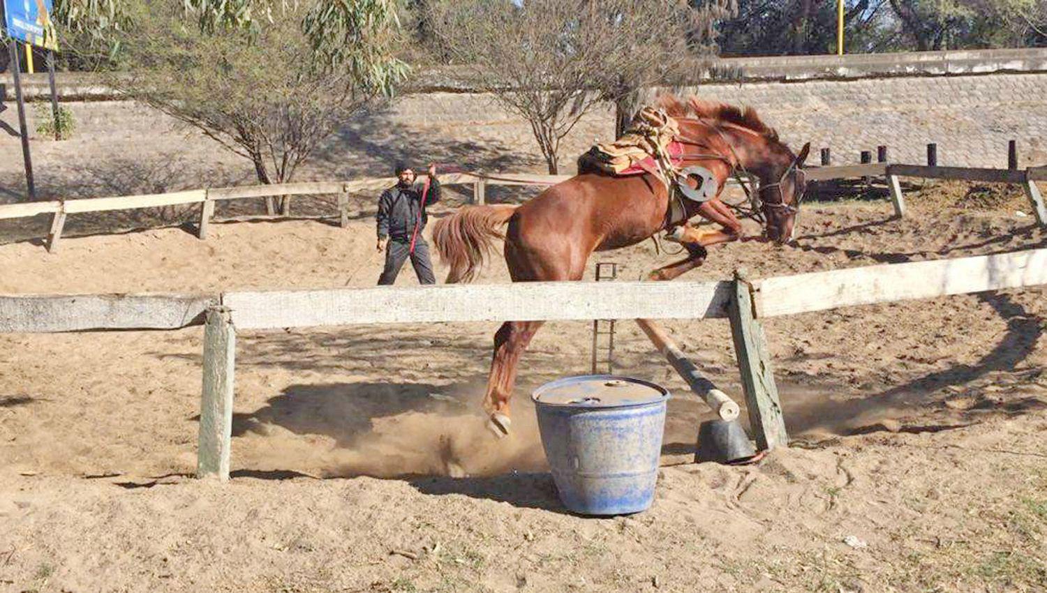 El Club Hípico no escapa a la realidad y hoy mantiene un trabajo especial con el personal que cuida y entrena a los ejemplares en la pista