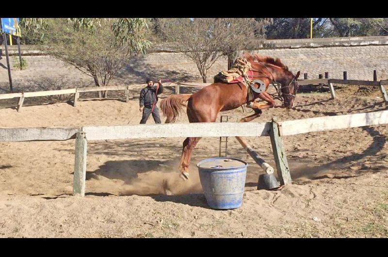 El Club Hípico no escapa a la realidad y hoy mantiene un trabajo especial con el personal que cuida y entrena a los ejemplares en la pista