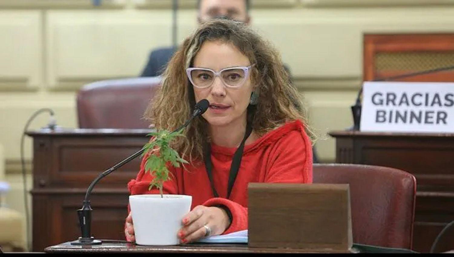 Santa Fe- poleacutemica por diputadas que exhibieron plantas de marihuana