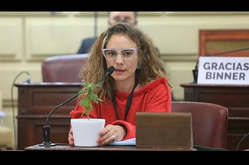 Santa Fe- poleacutemica por diputadas que exhibieron plantas de marihuana