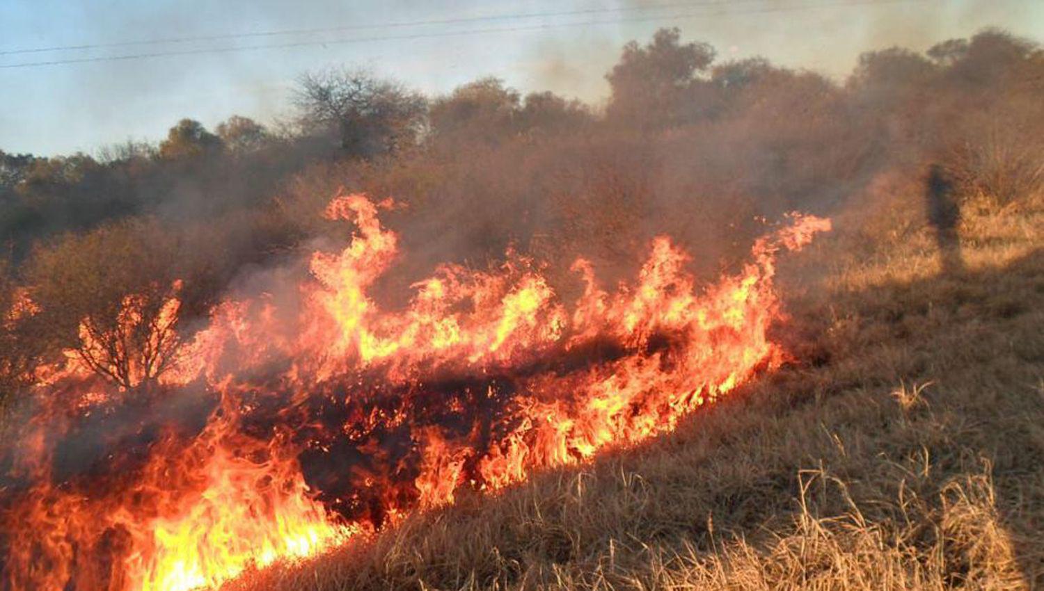 Se descontroloacute una quema de pastizales que eacutel habiacutea comenzado y murioacute intentando sofocarlo