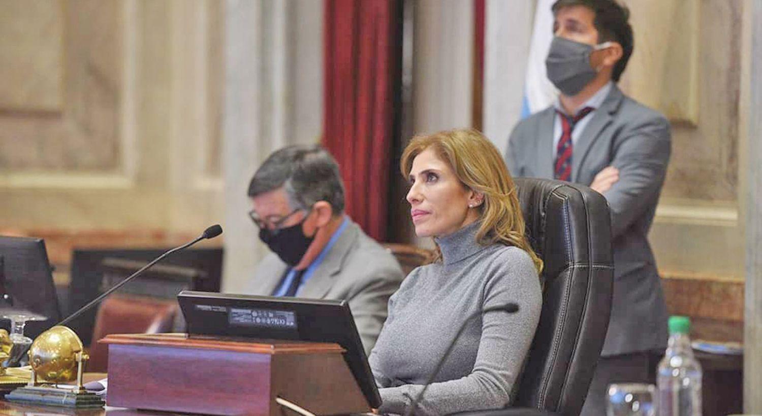 Senado- Claudia de Zamora estaacute a favor de continuar  con las sesiones virtuales