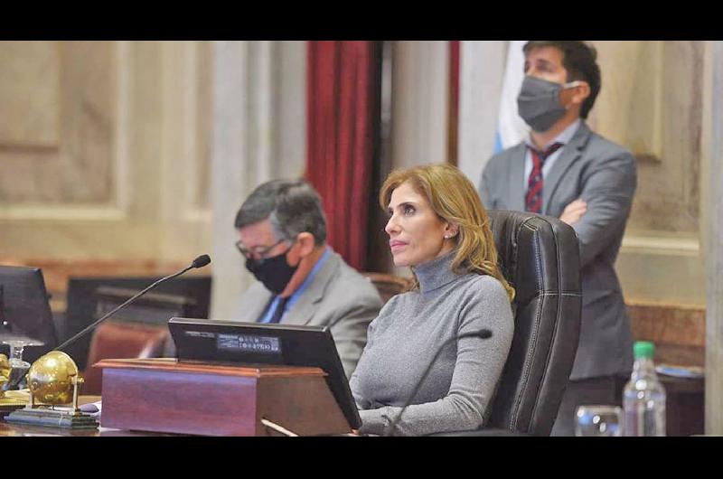 Senado- Claudia de Zamora estaacute a favor de continuar  con las sesiones virtuales