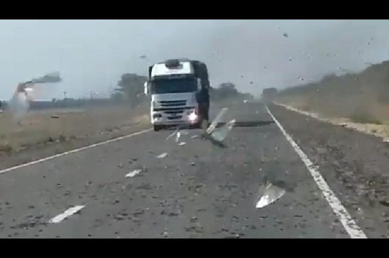 Alertan por el ingreso de mangas de langostas gigantes desde el norte santiaguentildeo