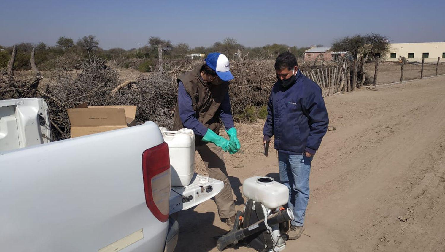 Senasa Inta y el Ministerio de Produccioacuten combatieron una manga de langostas en Loreto