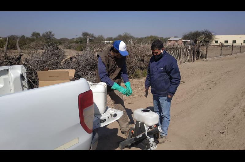 Senasa Inta y el Ministerio de Produccioacuten combatieron una manga de langostas en Loreto