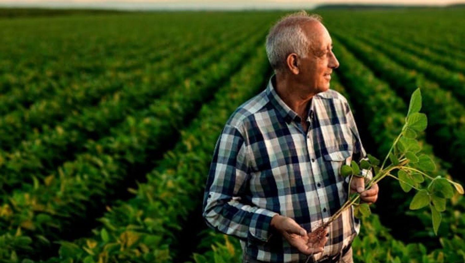 Compensaraacuten a productores por cuidar el medio ambiente