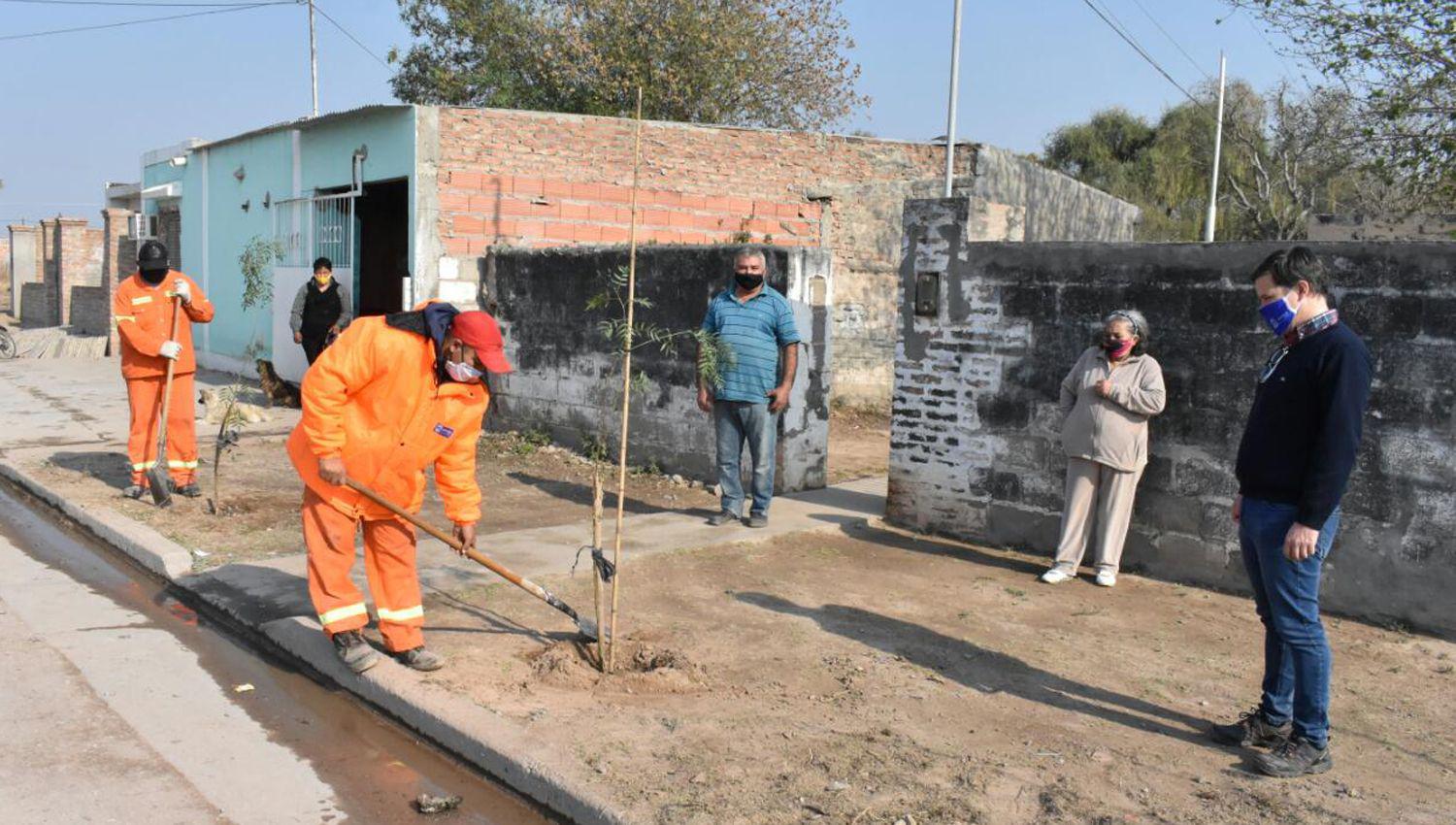 La Municipalidad ONGs y vecinos con el programa plantar y adoptar un aacuterbol trabajaron en el bdeg General Paz