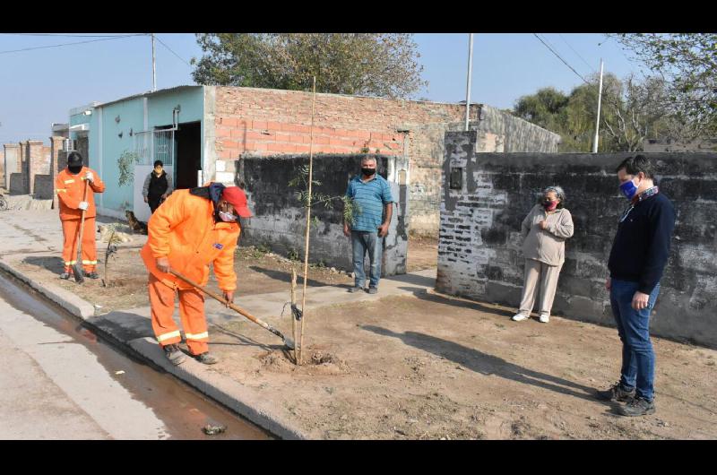 La Municipalidad ONGs y vecinos con el programa plantar y adoptar un aacuterbol trabajaron en el bdeg General Paz